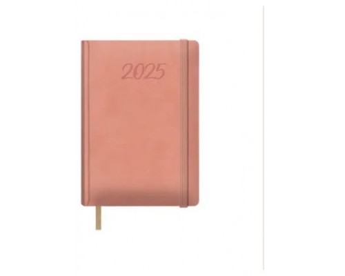 AGENDA 2025 SAMBA DIA PAGINA 15 X 21 CM COLOR ROSA  DOHE 12881 - 25 (Espera 4 dias)